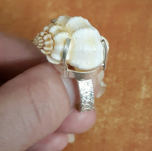 New Genuine Seashell 925 Silver Ring. - Picture 2 of 8